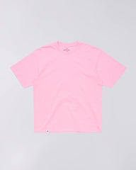 Begonia Pink