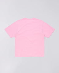 Begonia Pink